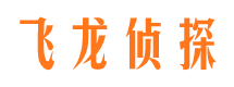 向阳侦探公司